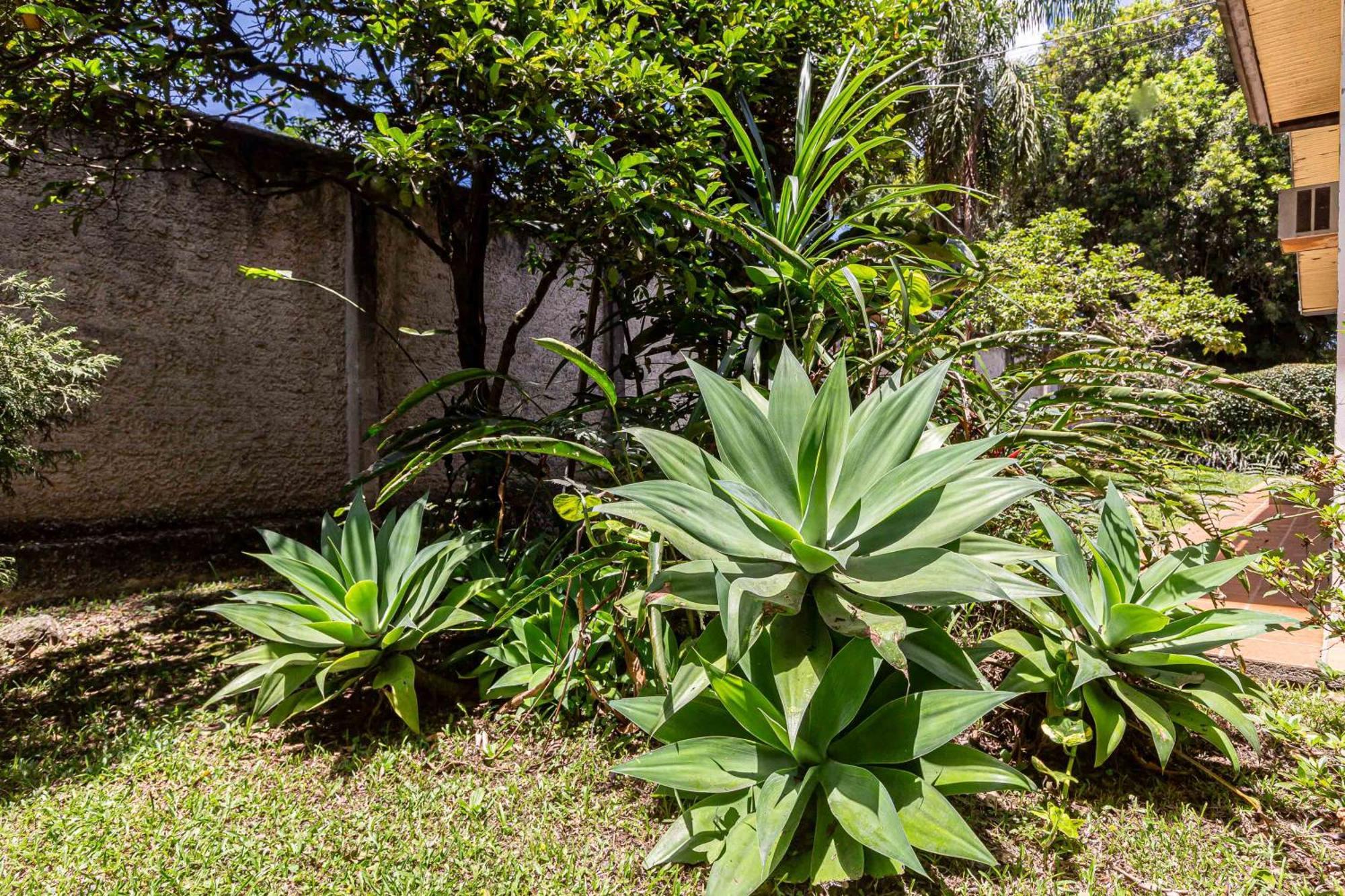 Memora Guesthouse Curitiba - Quartos Em Casa Proximo Ao Parque Bacacheri Eksteriør billede